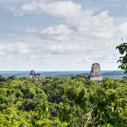 tikal